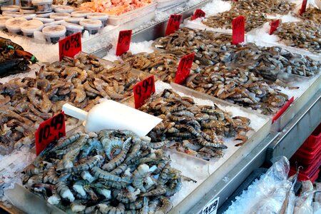 Market seafood shrimp