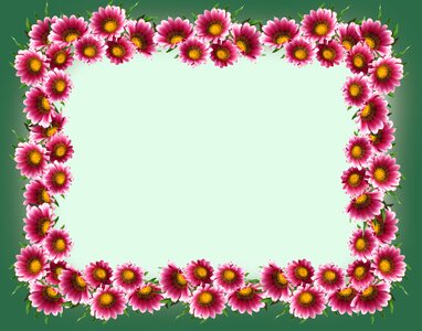 Frame border daisies