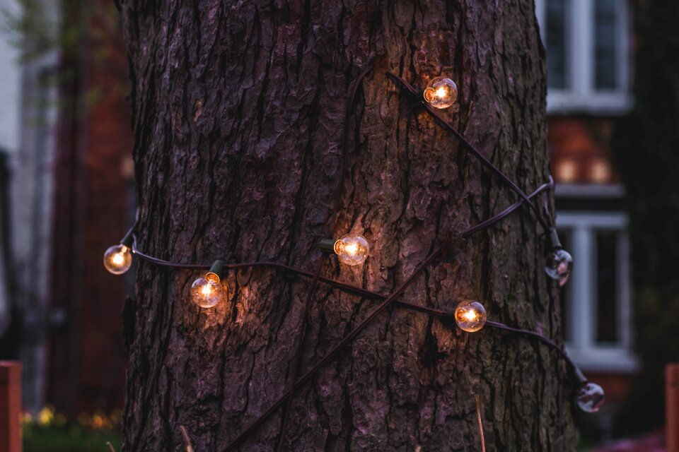 Wire tree wood