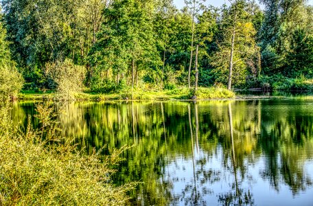 Reflection nature summer photo