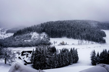 View fog trueb