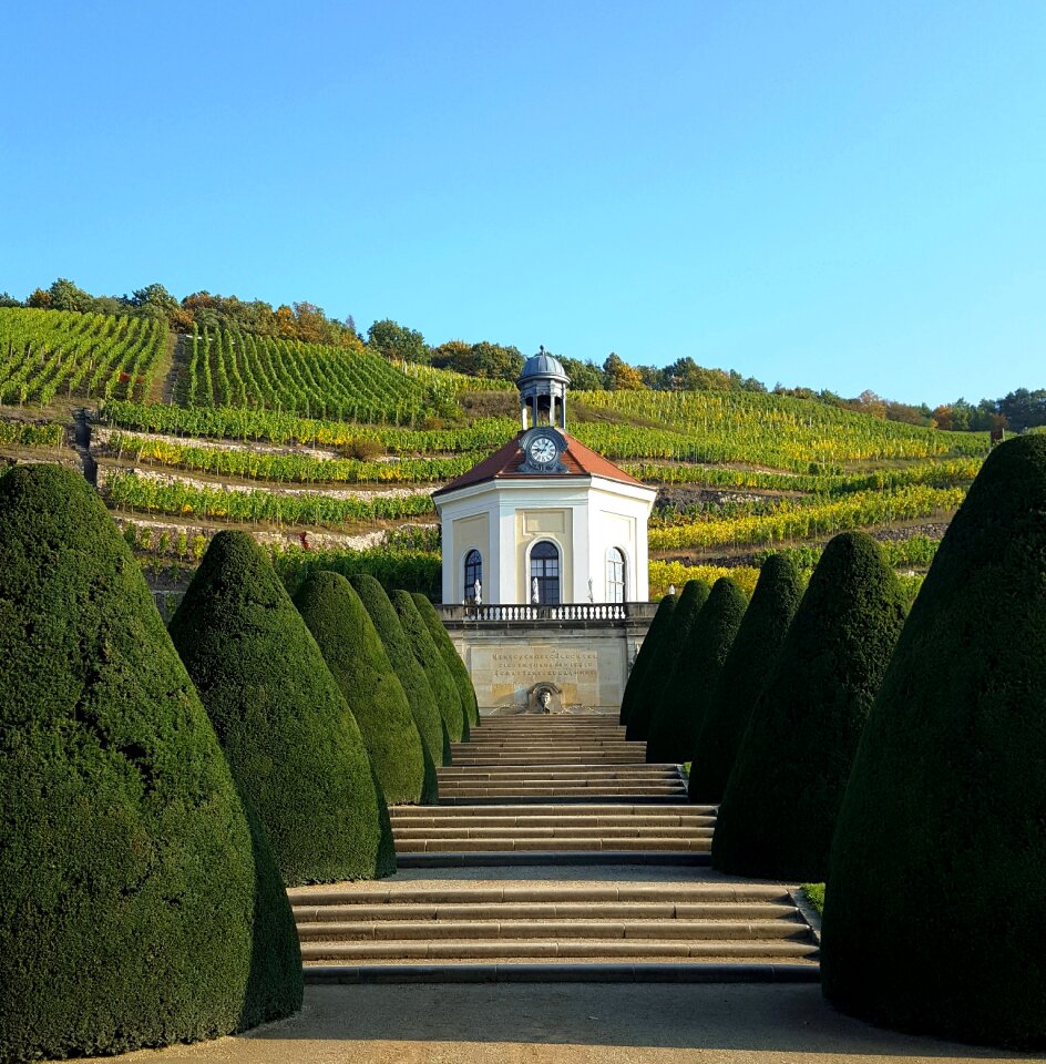 Wackerbarth radebeul wine