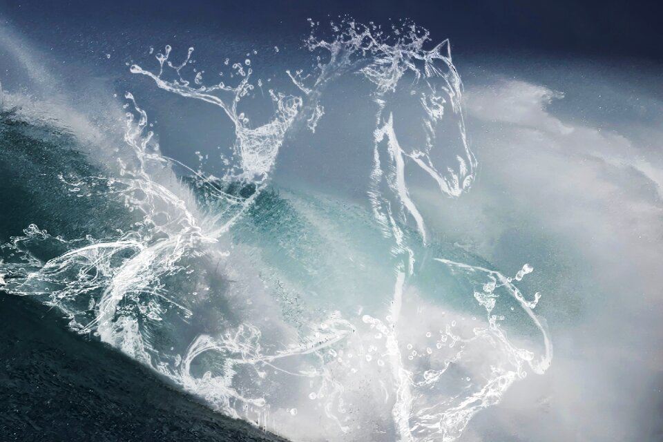 Aquatic animal figure wave