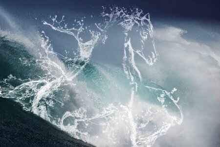 Aquatic animal figure wave