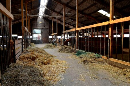 Stall farm riding