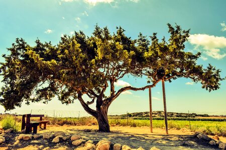 Lonely landscape nature