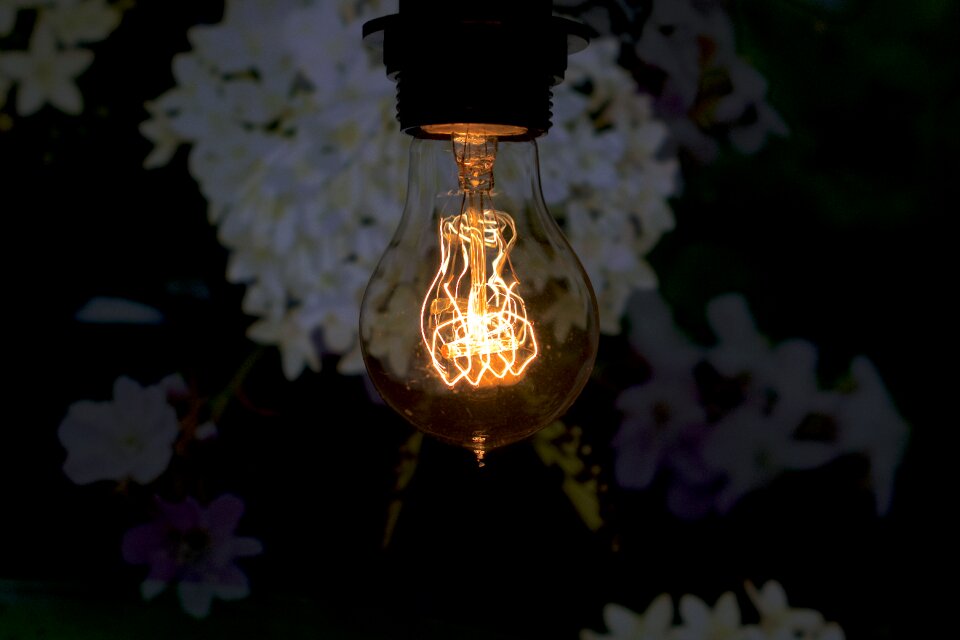 Retro lamp bulbs close up photo