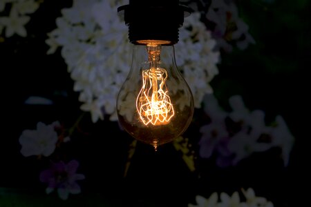 Retro lamp bulbs close up photo