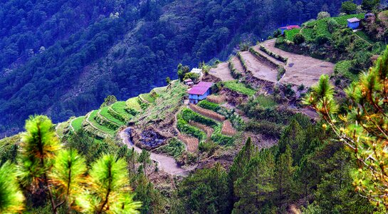 Sagada luzon terraces photo