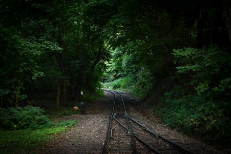 Railway green nature photo