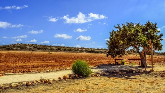 Lonely landscape nature
