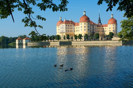 Castle saxony castle park photo