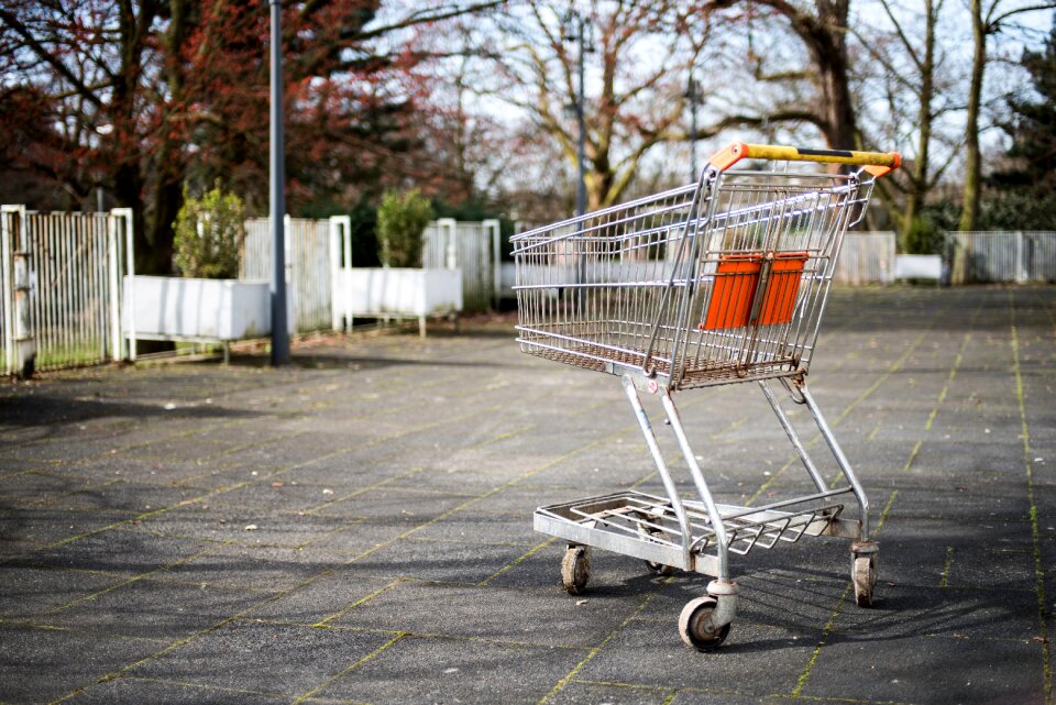 Trees gray grocery gray groceries