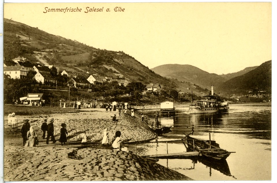 14320-Salesel-1912-Blick auf Salesel mit Elbe und Dampfer-Brück & Sohn Kunstverlag