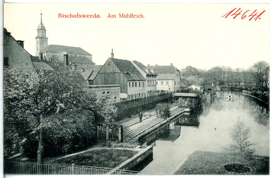 14641-Bischofswerda-1912-Mühlteich-Brück & Sohn Kunstverlag
