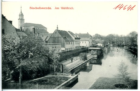 14641-Bischofswerda-1912-Mühlteich-Brück & Sohn Kunstverlag