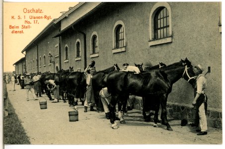 14771-Oschatz-1912-1. Königlich Sächsisches Ulanen-Regiment Nr. 17 - Beim Stalldienst-Brück & Sohn Kunstverlag
