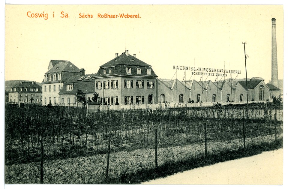 15725-Coswig-1913-Roßhaarweberei-Brück & Sohn Kunstverlag