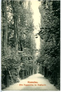 14325-Komotau-1912-Alte Pappelallee im Stadtpark-Brück & Sohn Kunstverlag