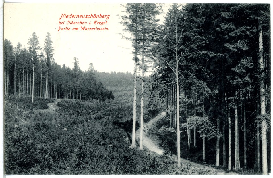 14475-Olbernhau-1912-Am Wasserbassin Niederneuschönberg-Brück & Sohn Kunstverlag