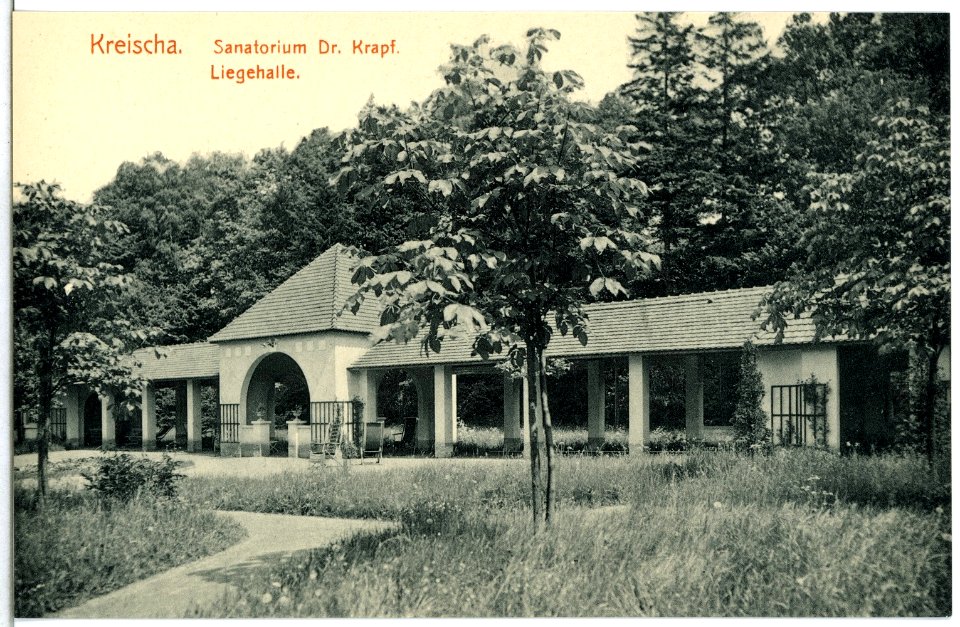 14776-Kreischa-1912-Sanatorium Dr. Krapf - Liegehalle-Brück & Sohn Kunstverlag