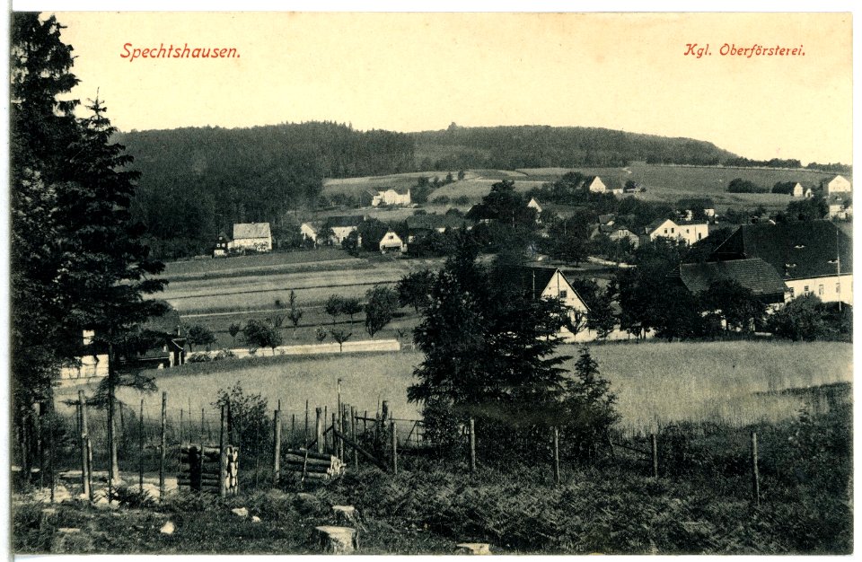 14791-Spechtshausen-1912-Blick auf Spechtshausen, Oberförsterei-Brück & Sohn Kunstverlag