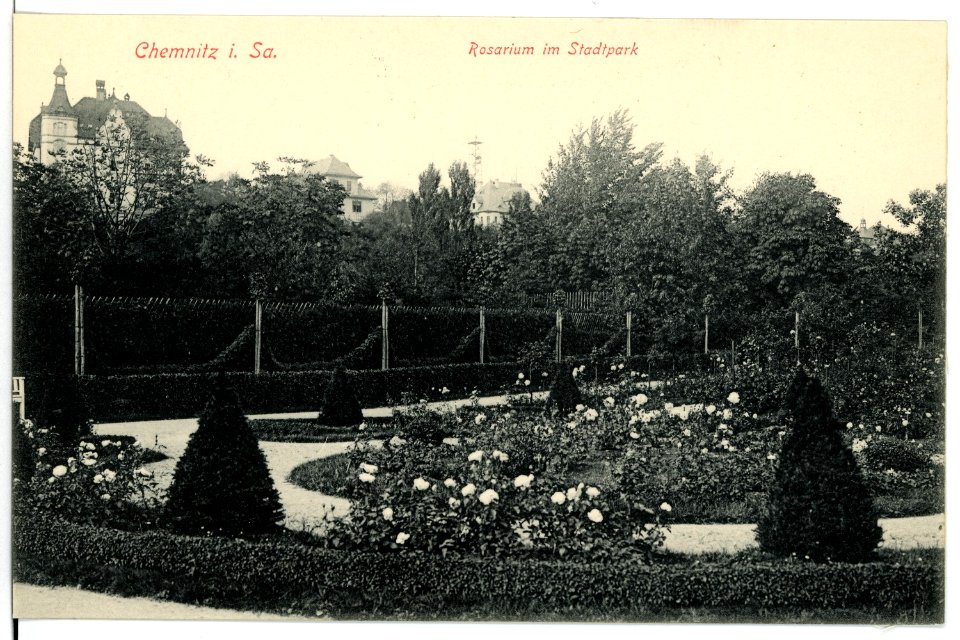 15616-Chemnitz-1913-Rosarium im Stadtpark-Brück & Sohn Kunstverlag