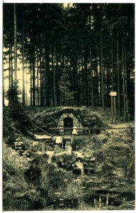 14728-Grillenburg-1912-Warnsdorfer Quelle-Brück & Sohn Kunstverlag