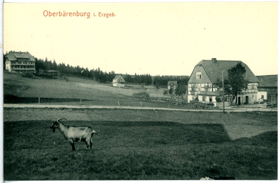 14187-Oberbärenburg-1912-Blick auf Oberbärenburg-Brück & Sohn Kunstverlag