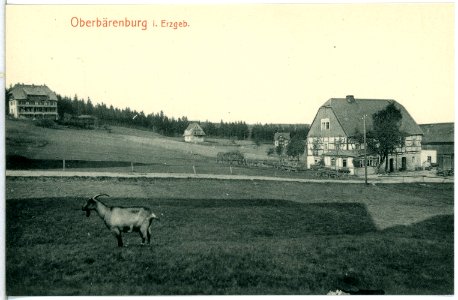14187-Oberbärenburg-1912-Blick auf Oberbärenburg-Brück & Sohn Kunstverlag