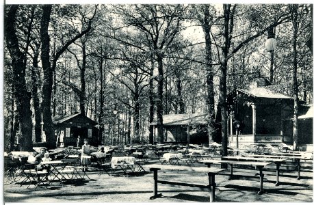 14569-Riesa-1912-Festplatz im Stadtpark-Brück & Sohn Kunstverlag