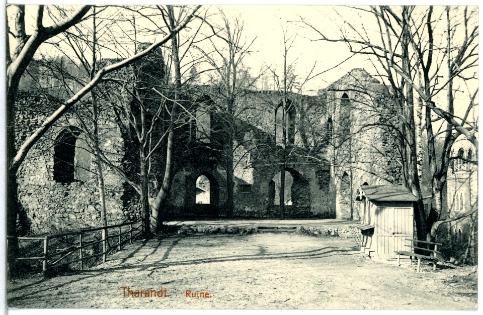 14268-Tharandt-1912-Ruine-Brück & Sohn Kunstverlag