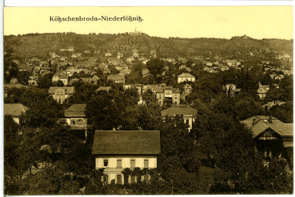 14534-Radebeul-1912-Kötzschenbroda - Niederlößnitz-Brück & Sohn Kunstverlag