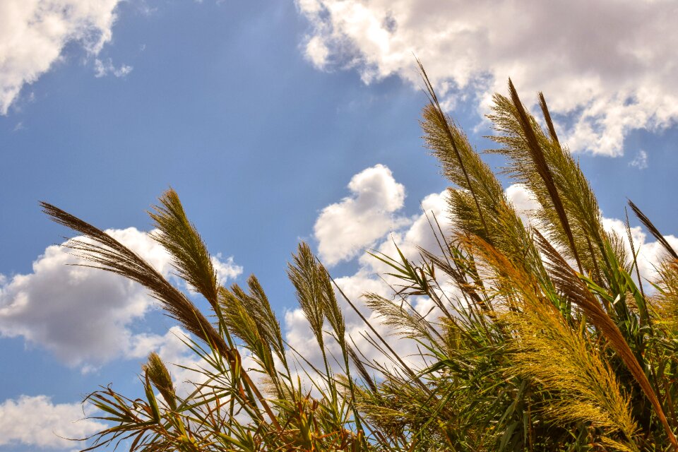 Clouds nature autumn