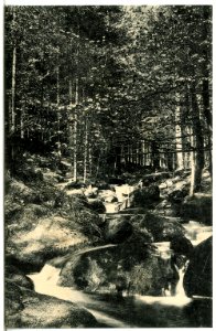 15066-Olbernhau-1912-Rungstocktal-Brück & Sohn Kunstverlag