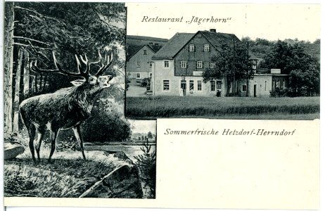 14823-Herrndorf-Hetzdorf-1912-Restaurant "Jägerhorn und Hirsch"-Brück & Sohn Kunstverlag