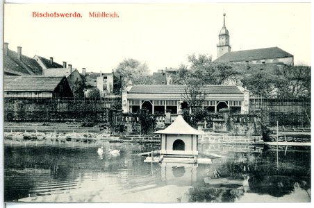 14638-Bischofswerda-1912-Mühlteich-Brück & Sohn Kunstverlag