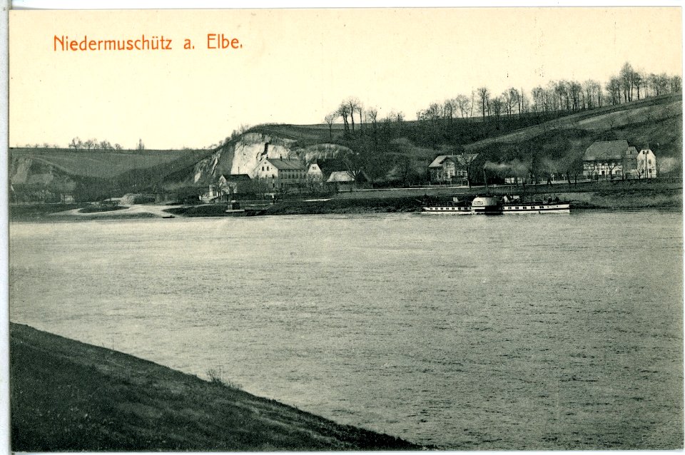 14440-Niedermuschütz-1912-Elbe mit Dampfer Austria-Brück & Sohn Kunstverlag