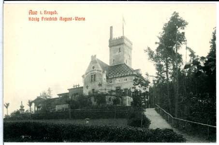 10783-Aue-1909-König - Friedrich-August-Warte-Brück & Sohn Kunstverlag