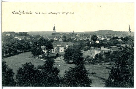 14918-Königsbrück-1912-Blick vom Scheibigen Berge aus-Brück & Sohn Kunstverlag