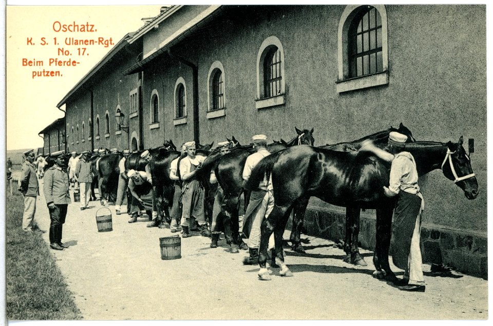 14770-Oschatz-1912-1. Königlich Sächsisches Ulanen-Regiment Nr. 17 - Beim Pferdeputzen-Brück & Sohn Kunstverlag