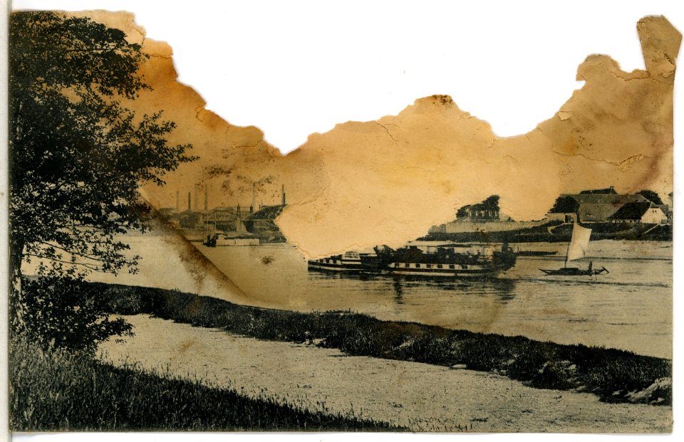 14346-Riesa-1912-Promnitz mit Elbe und Dampfer-Brück & Sohn Kunstverlag