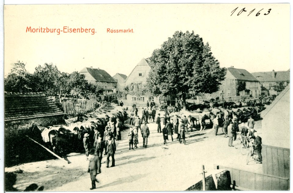 10163-Moritzburg-1908-Eisenberg, Roßmarkt-Brück & Sohn Kunstverlag