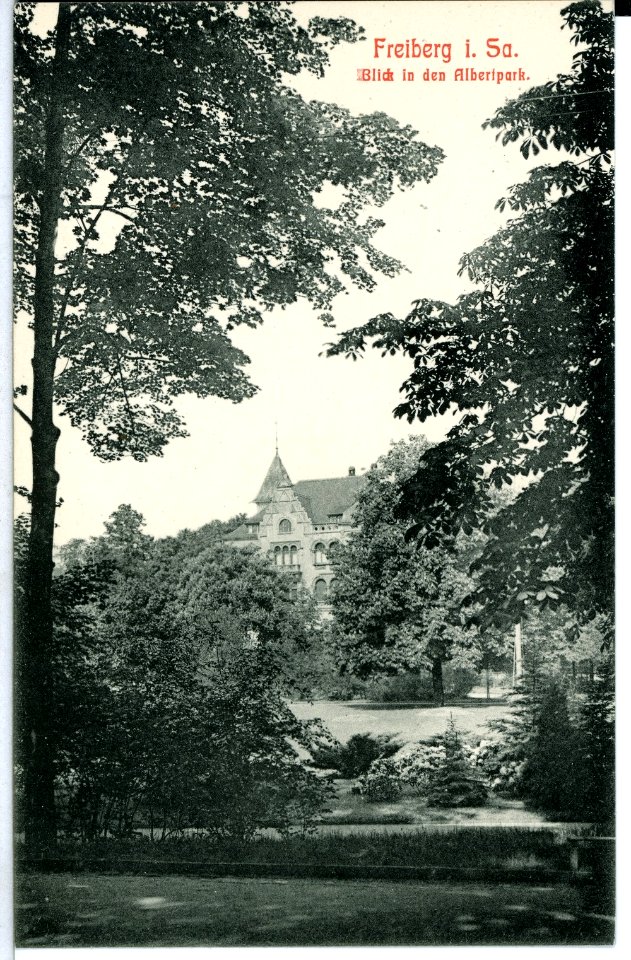 10435-Freiberg-1908-Blick in den Albertpark-Brück & Sohn Kunstverlag