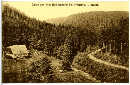 14888-Olbernhau-1912-Natschungtal-Brück & Sohn Kunstverlag