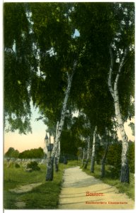 10430-Bautzen-1908-Allee auf dem Brotschenberg-Brück & Sohn Kunstverlag