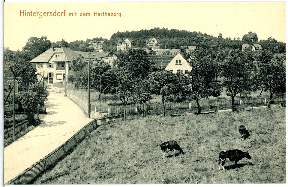 14787-Hintergersdorf-1912-Blick auf Hintergersdorf und Harthaberg-Brück & Sohn Kunstverlag