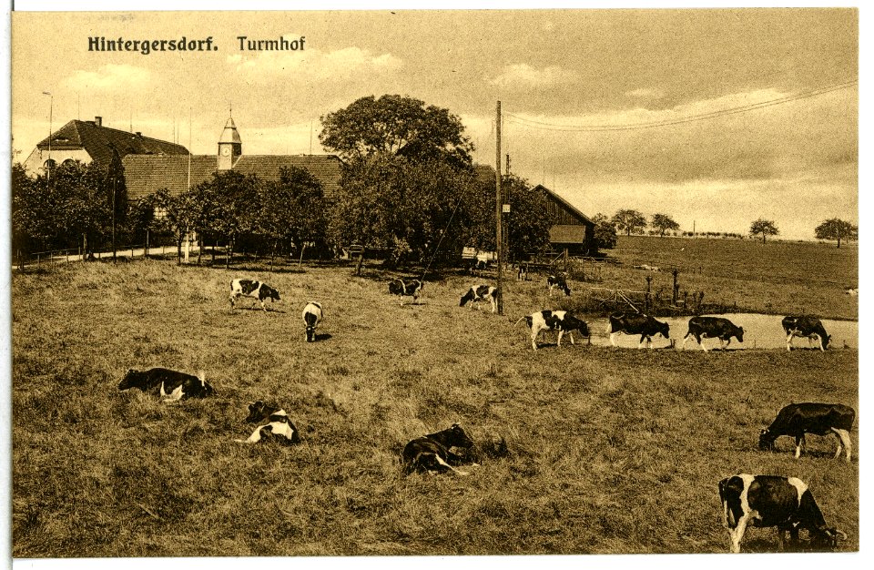 14790-Hintergersdorf-1912-Turmhof-Brück & Sohn Kunstverlag