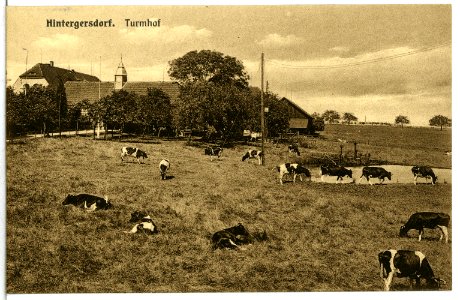 14790-Hintergersdorf-1912-Turmhof-Brück & Sohn Kunstverlag