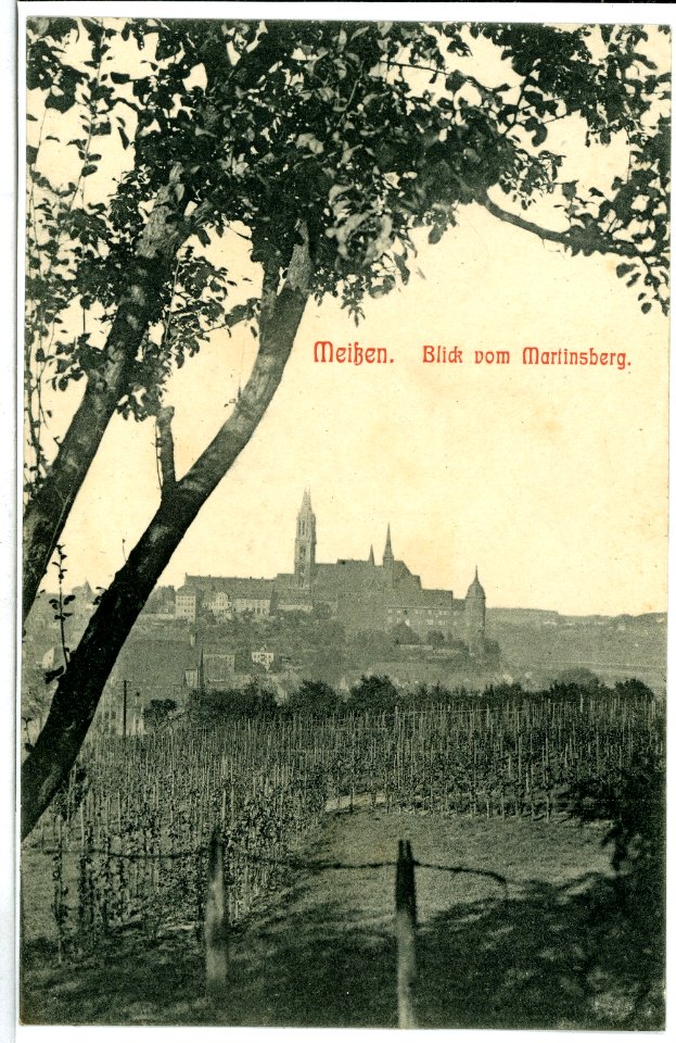 10420-Meißen-1908-Blick vom Martinsberg auf den Burgberg-Brück & Sohn Kunstverlag